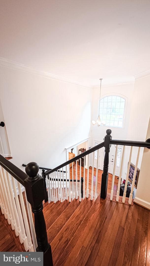 1807 Anderson Road photo 12