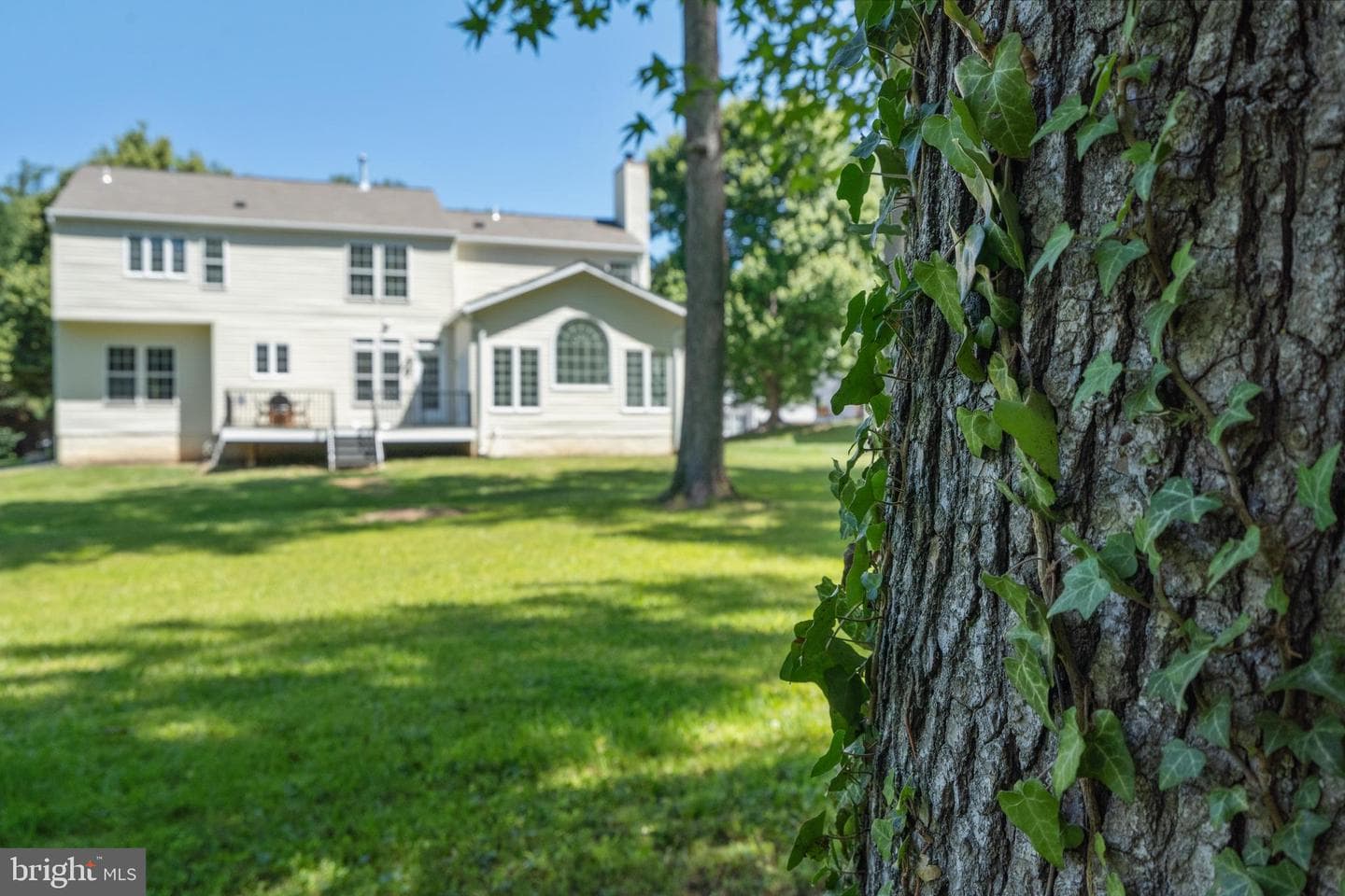 6733 Catskill Road photo 61