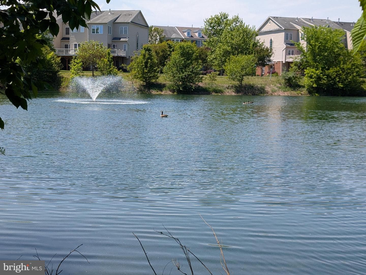 13598 Lavender Mist Lane photo 50
