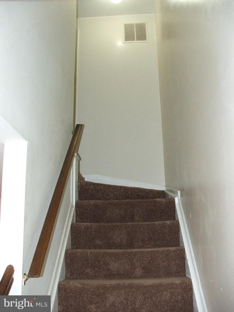 10210 Sassafras Woods Court photo 11
