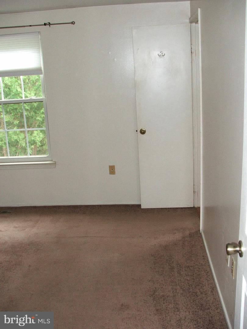 10210 Sassafras Woods Court photo 12