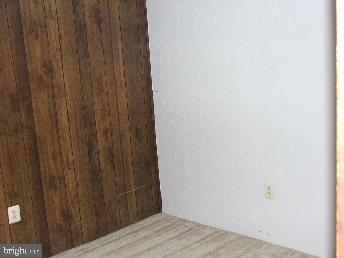 10210 Sassafras Woods Court photo 23