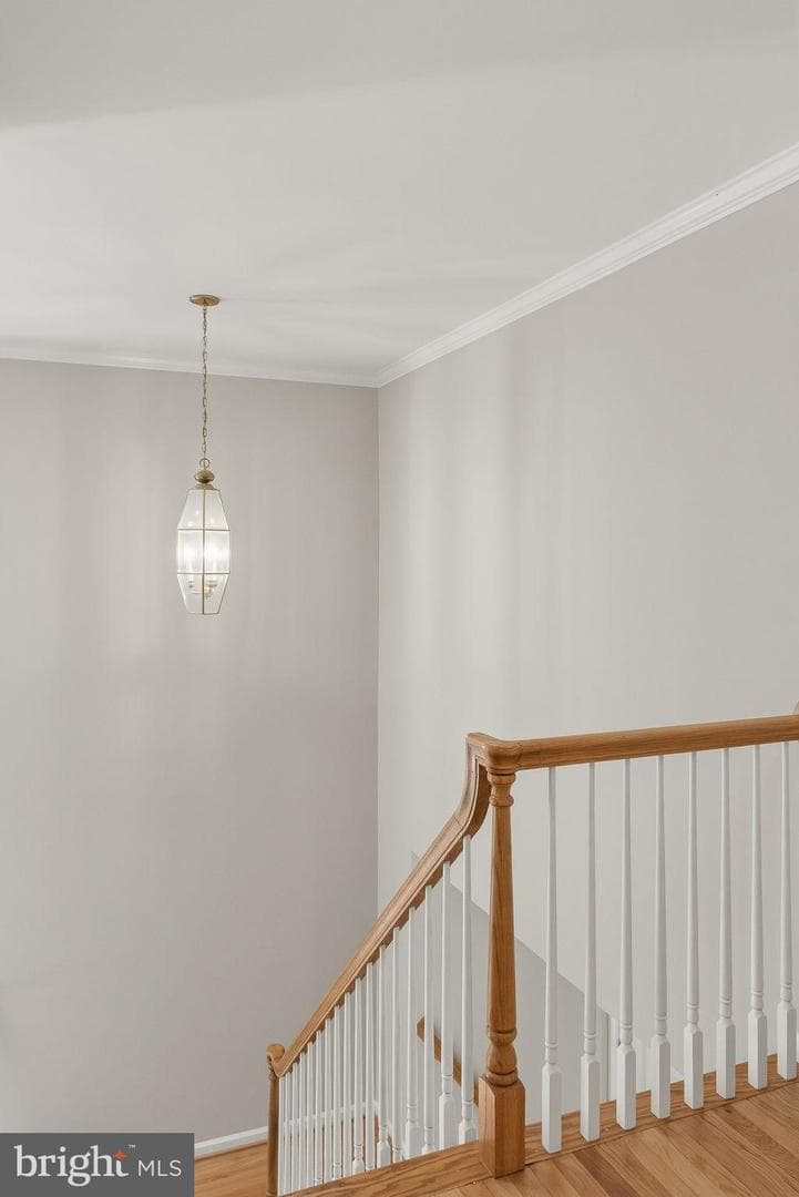 10008 Leamoore Lane photo 54
