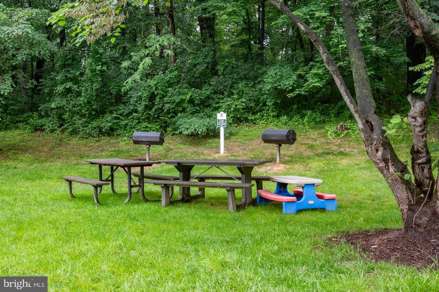 2230 George C Marshall Drive #517 photo 66