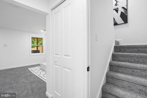 6606 Birchleigh Way photo 22