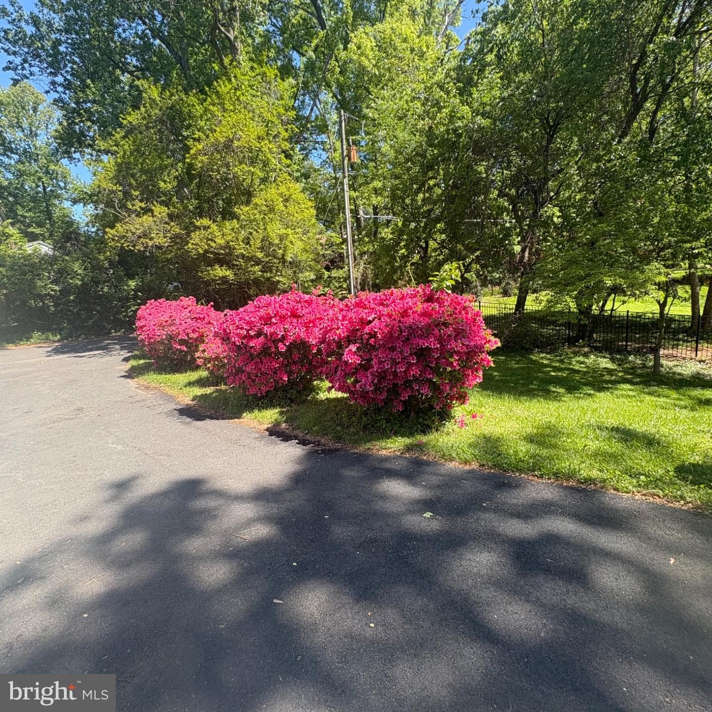 3502 Holly Road photo 53