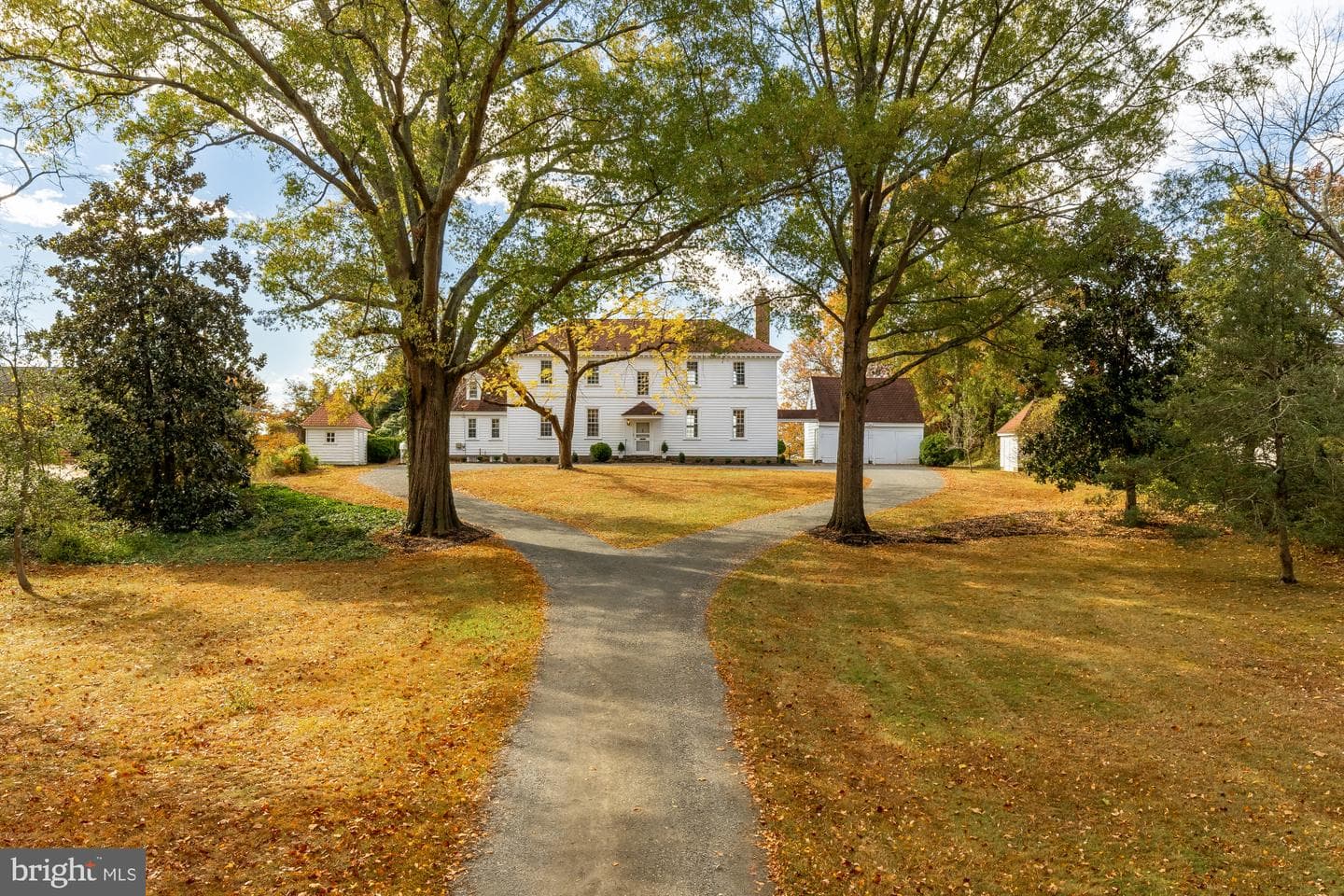4509 Carlby Lane photo 4