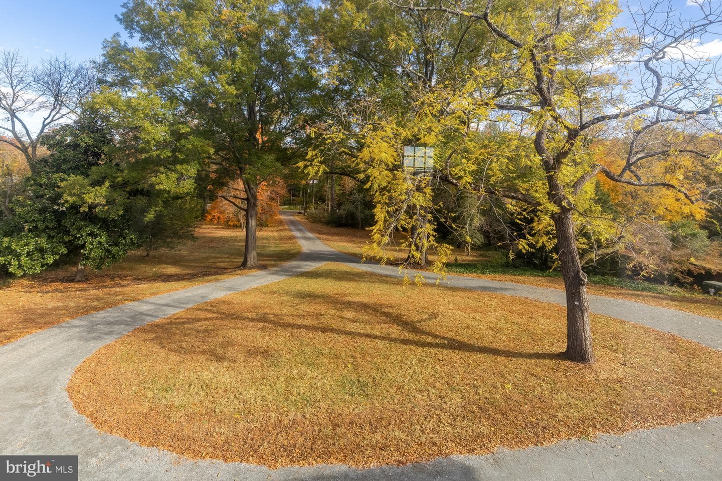 4509 Carlby Lane photo 8