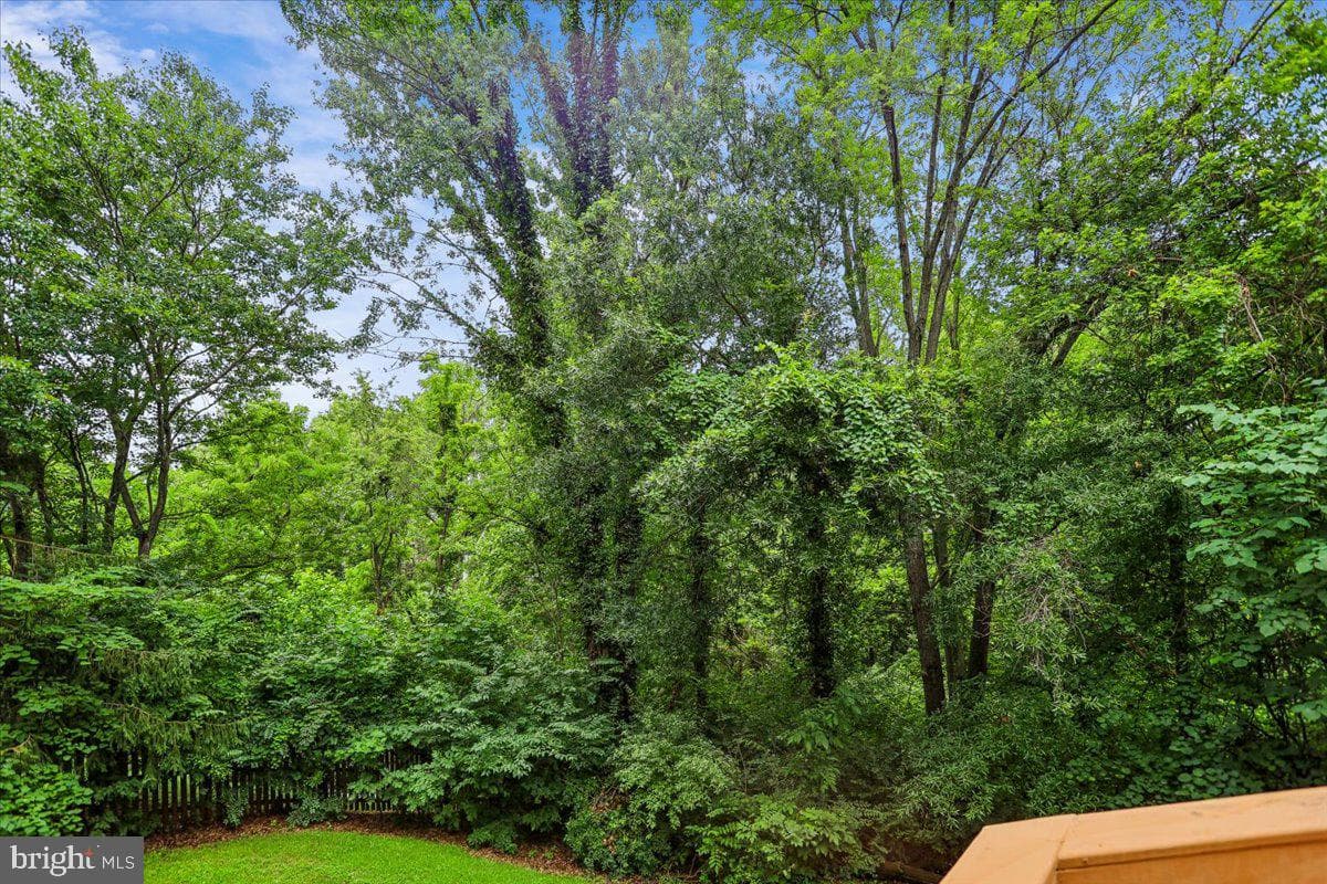 13159 Ladybank Lane photo 53