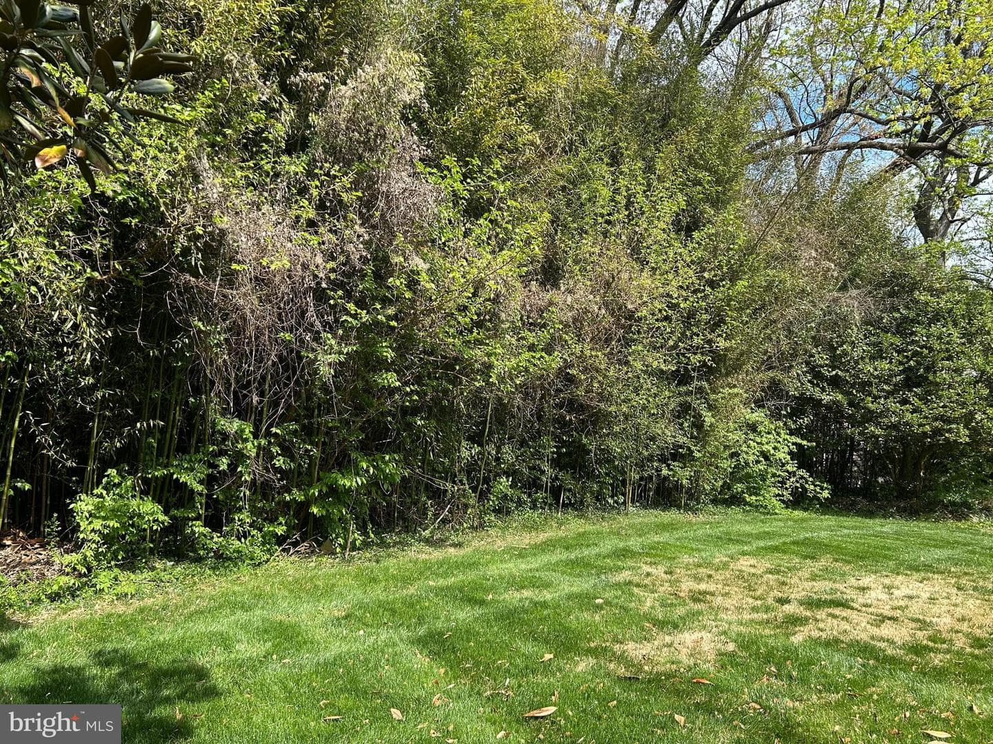 6710 Moly Drive photo 3