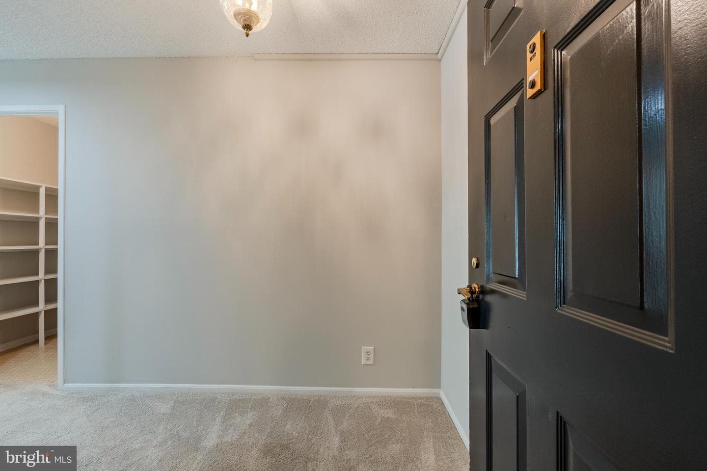 5901 Mount Eagle Drive #510 photo 8