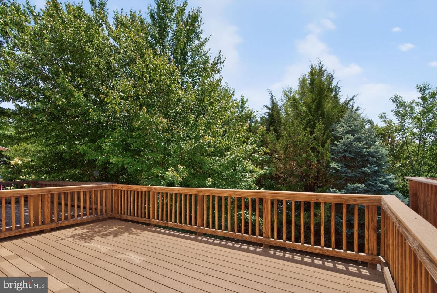 8227 Singleleaf Lane photo 26