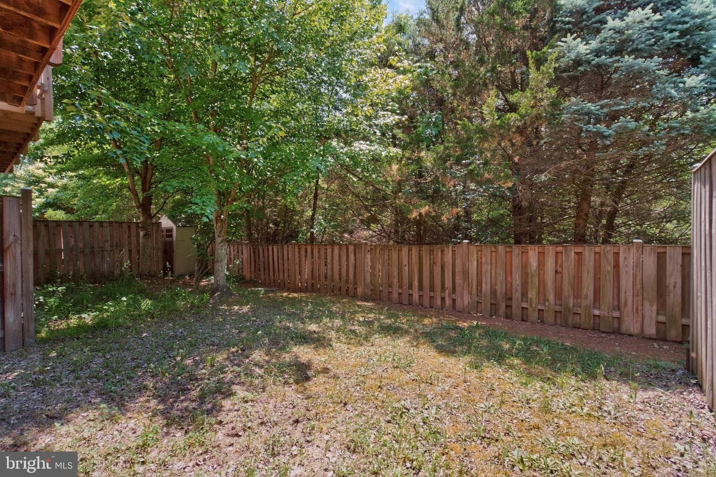 8227 Singleleaf Lane photo 28