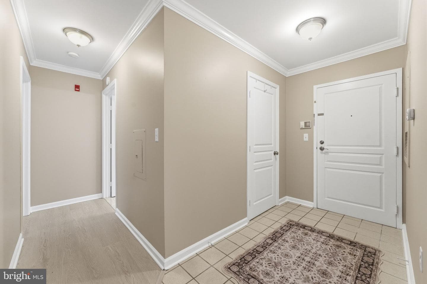 5565 Seminary Road #313 photo 6
