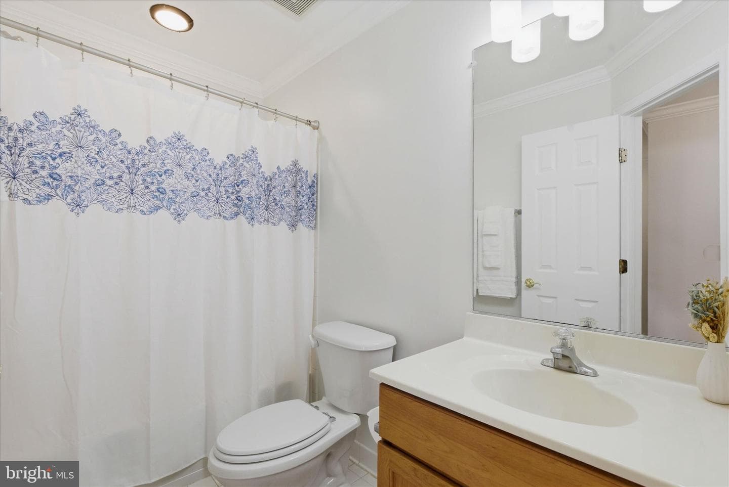 7567 Grey Goose Way photo 8