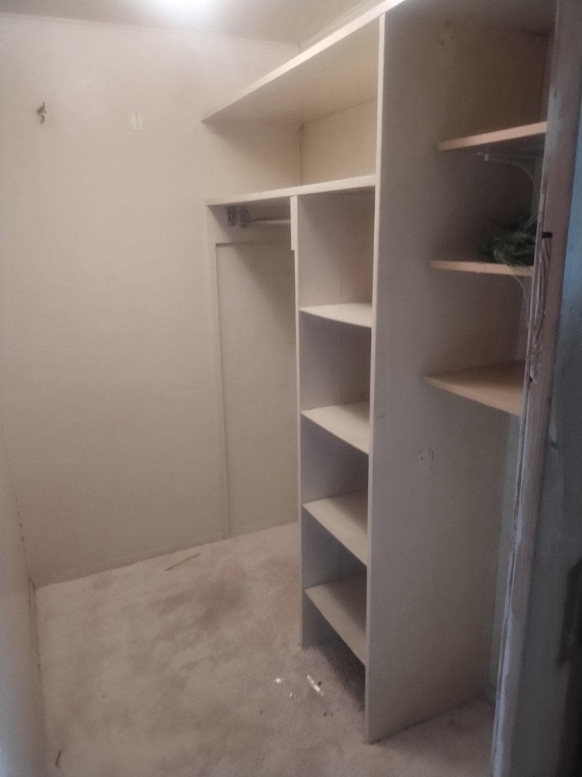 5008 Regina Drive photo 57