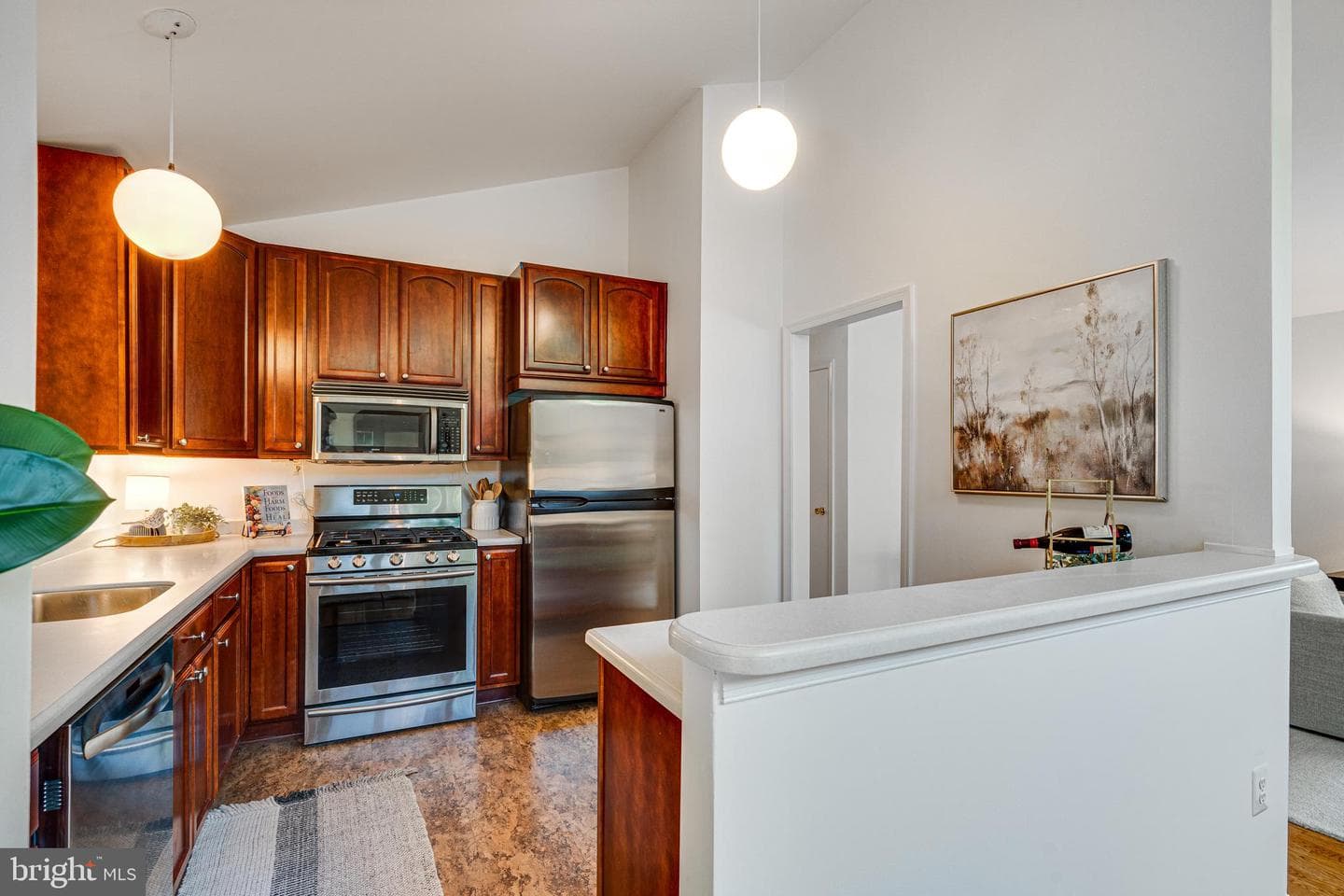 10000 Eastlake Drive photo 15