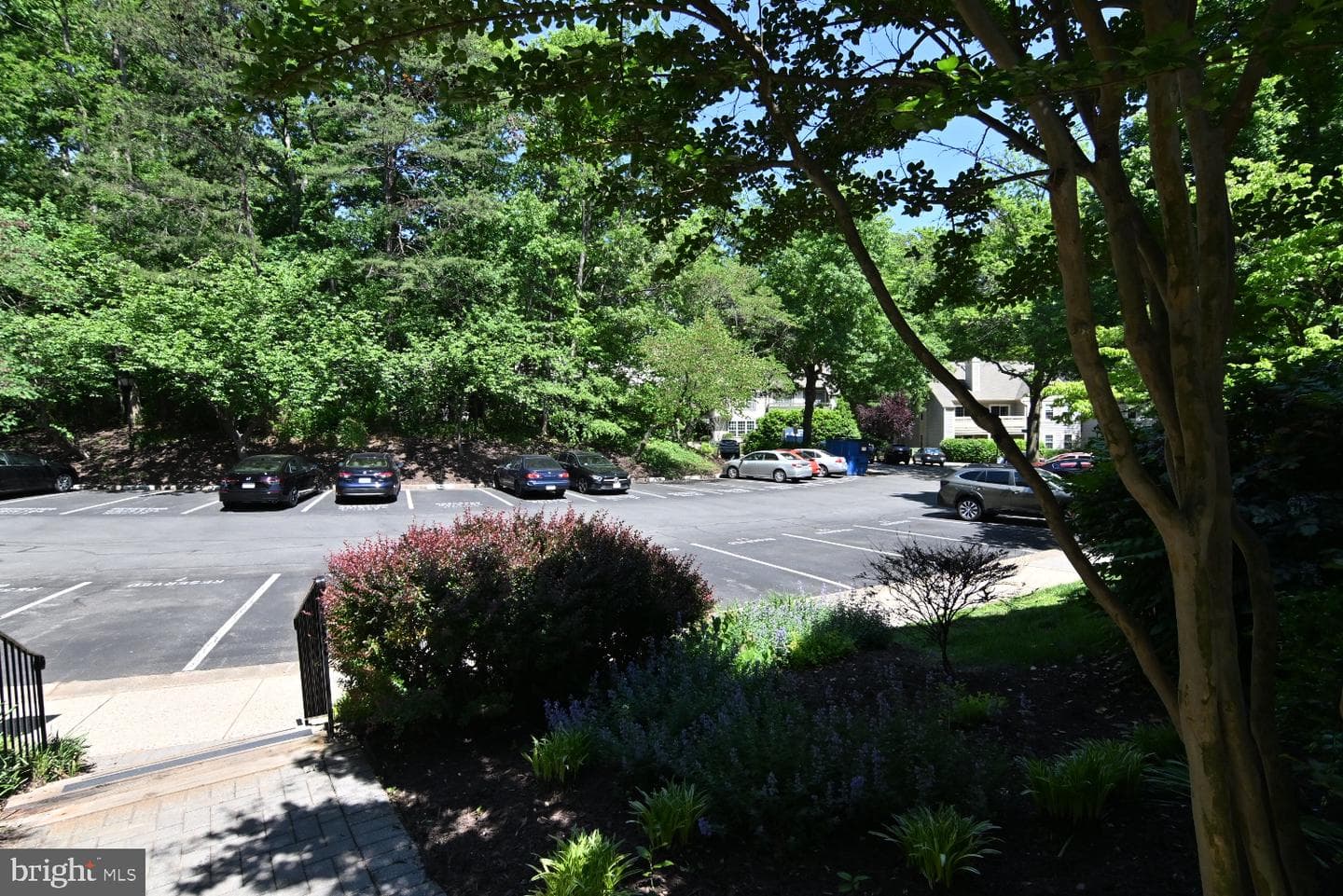 2220 Springwood Drive #c photo 74