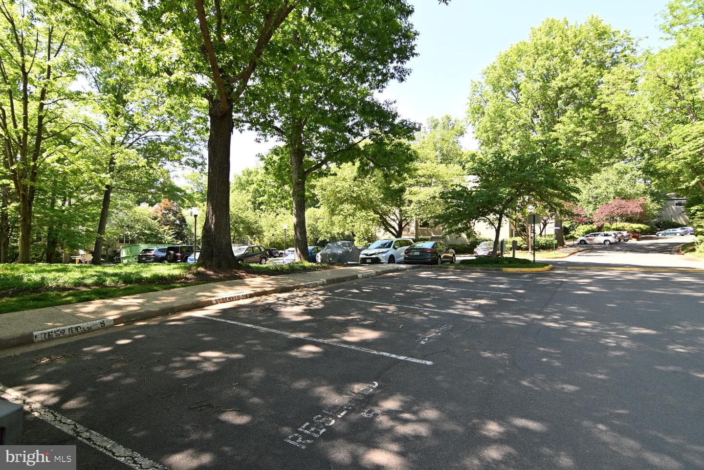 2220 Springwood Drive #c photo 81