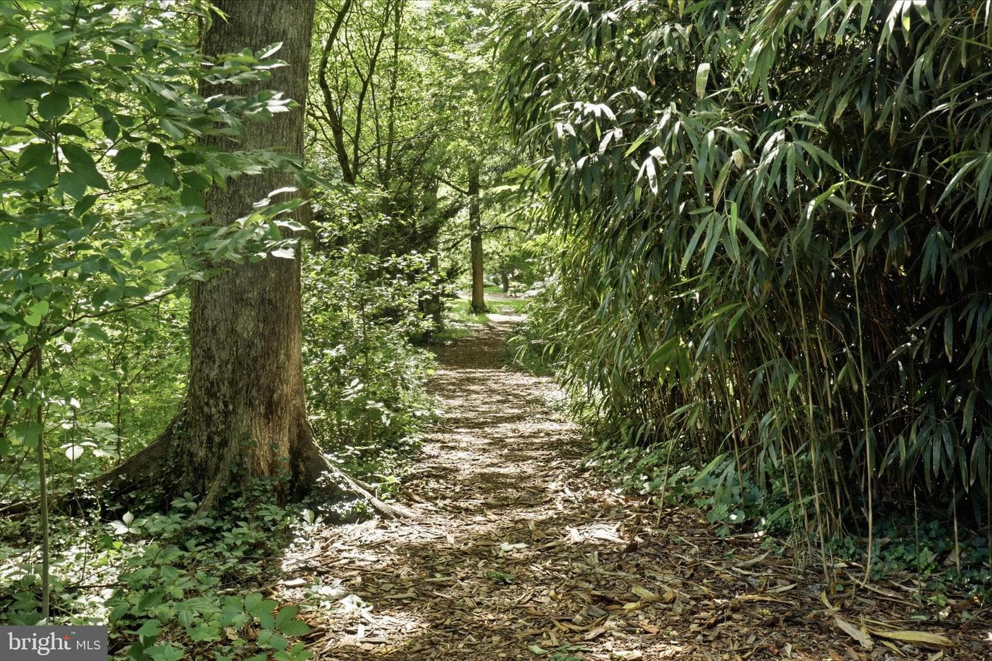 7257 Mclean Commons Lane photo 55