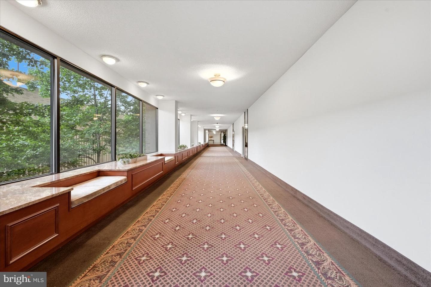 3709 S George Mason Drive #707 photo 26