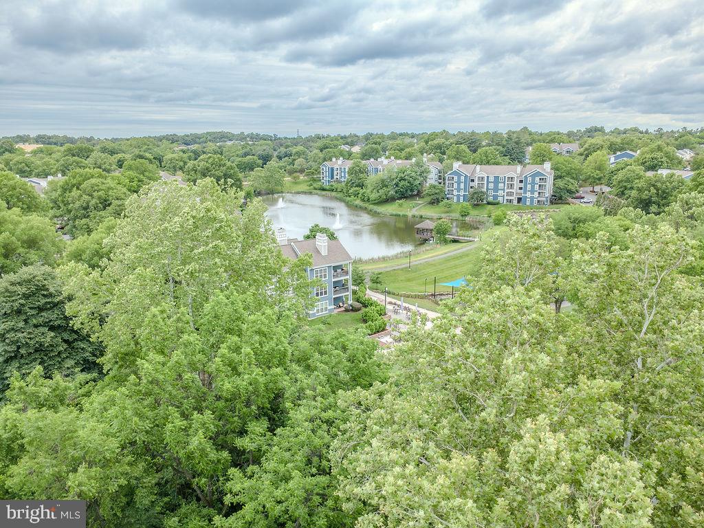 14321 Climbing Rose Way #204 photo 46