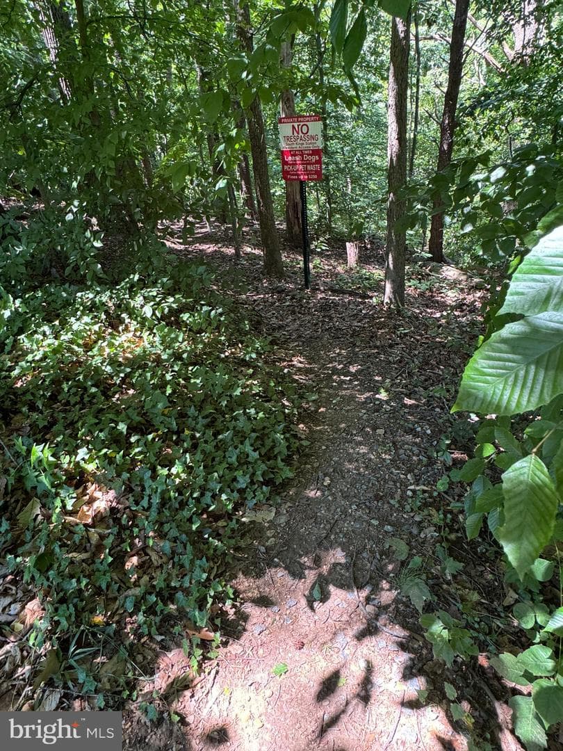 6324 Chimney Wood Court photo 9