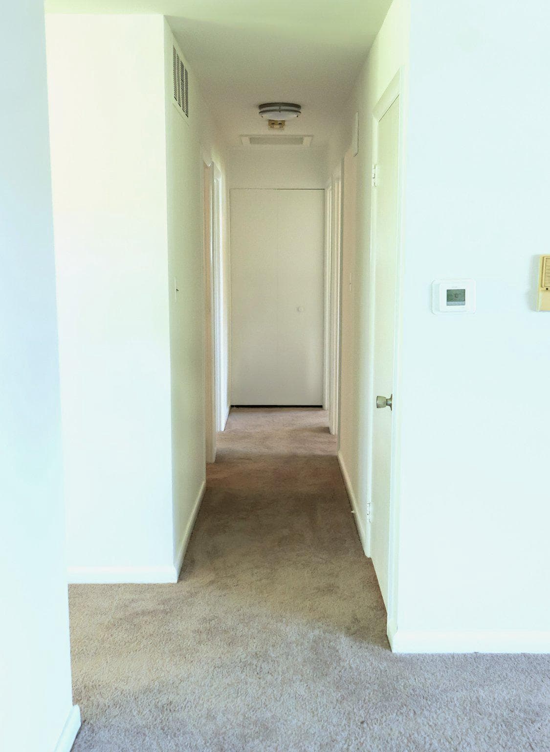 7200 Vellex Lane photo 16