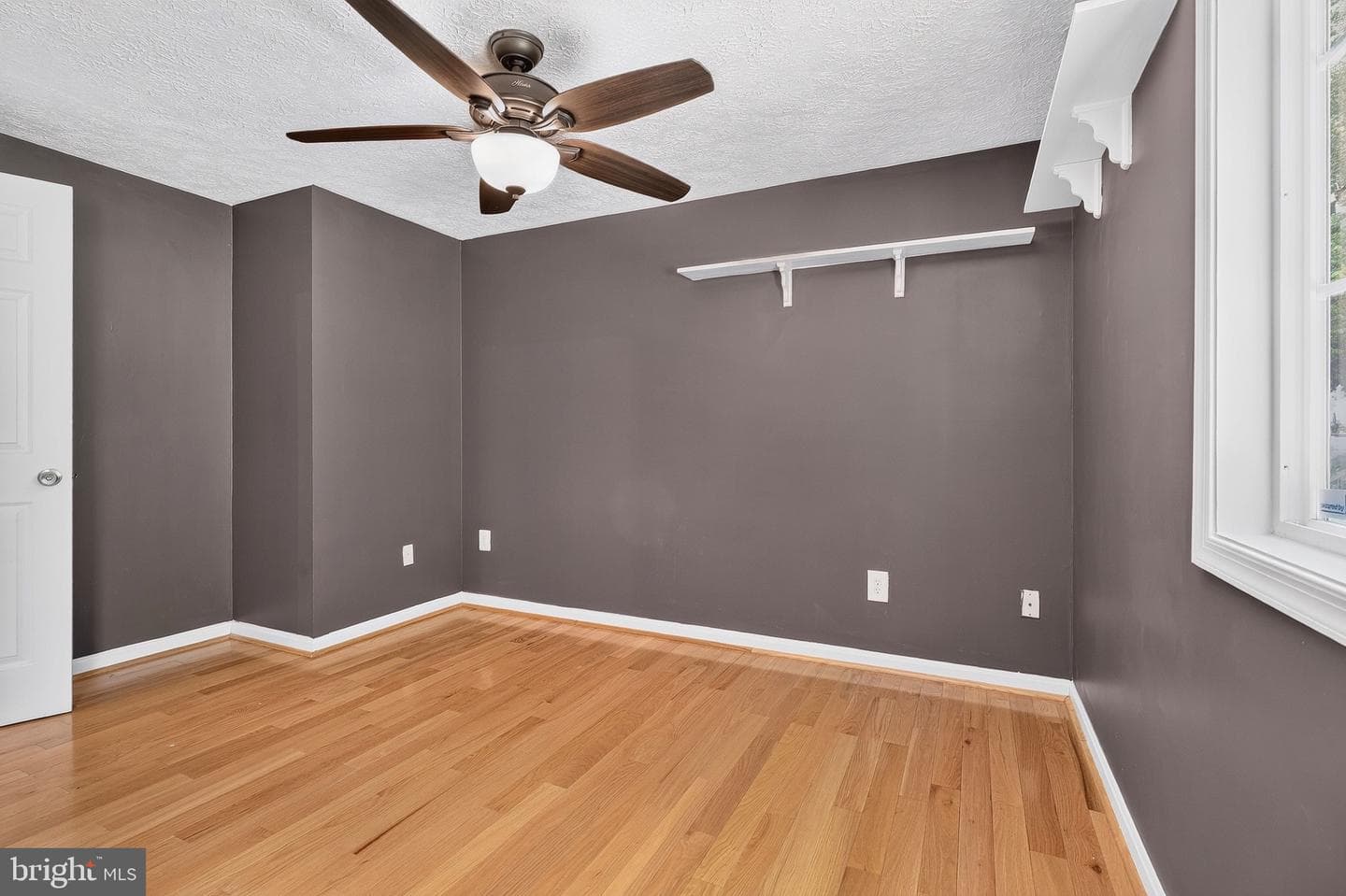 8471 Great Lake Lane photo 16