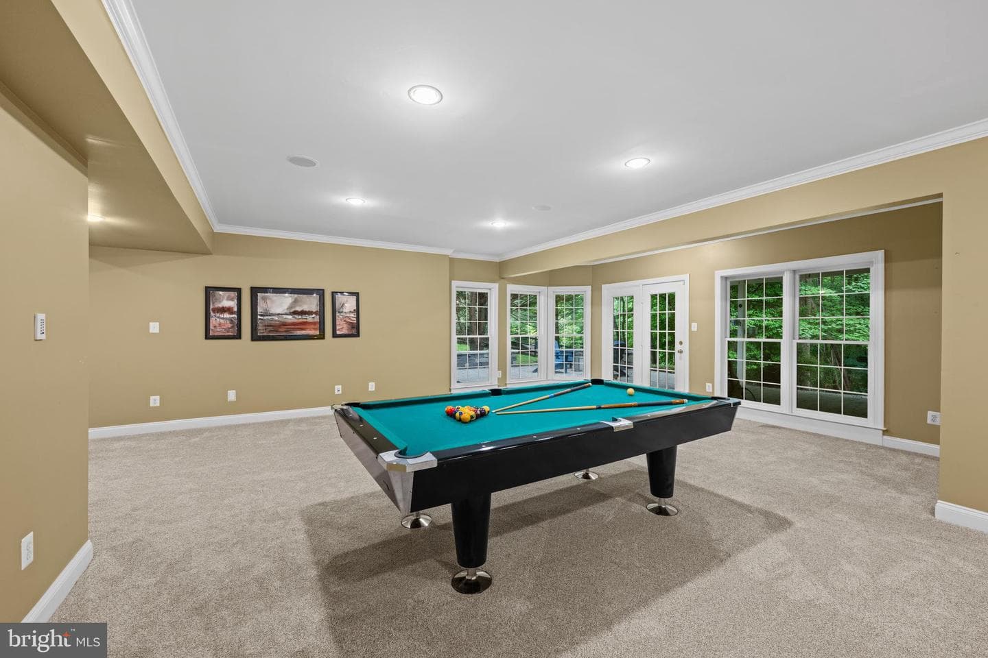 11885 Shaker Meadows Court photo 38