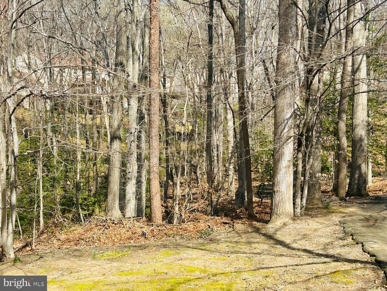 7265 Kousa Lane photo 39