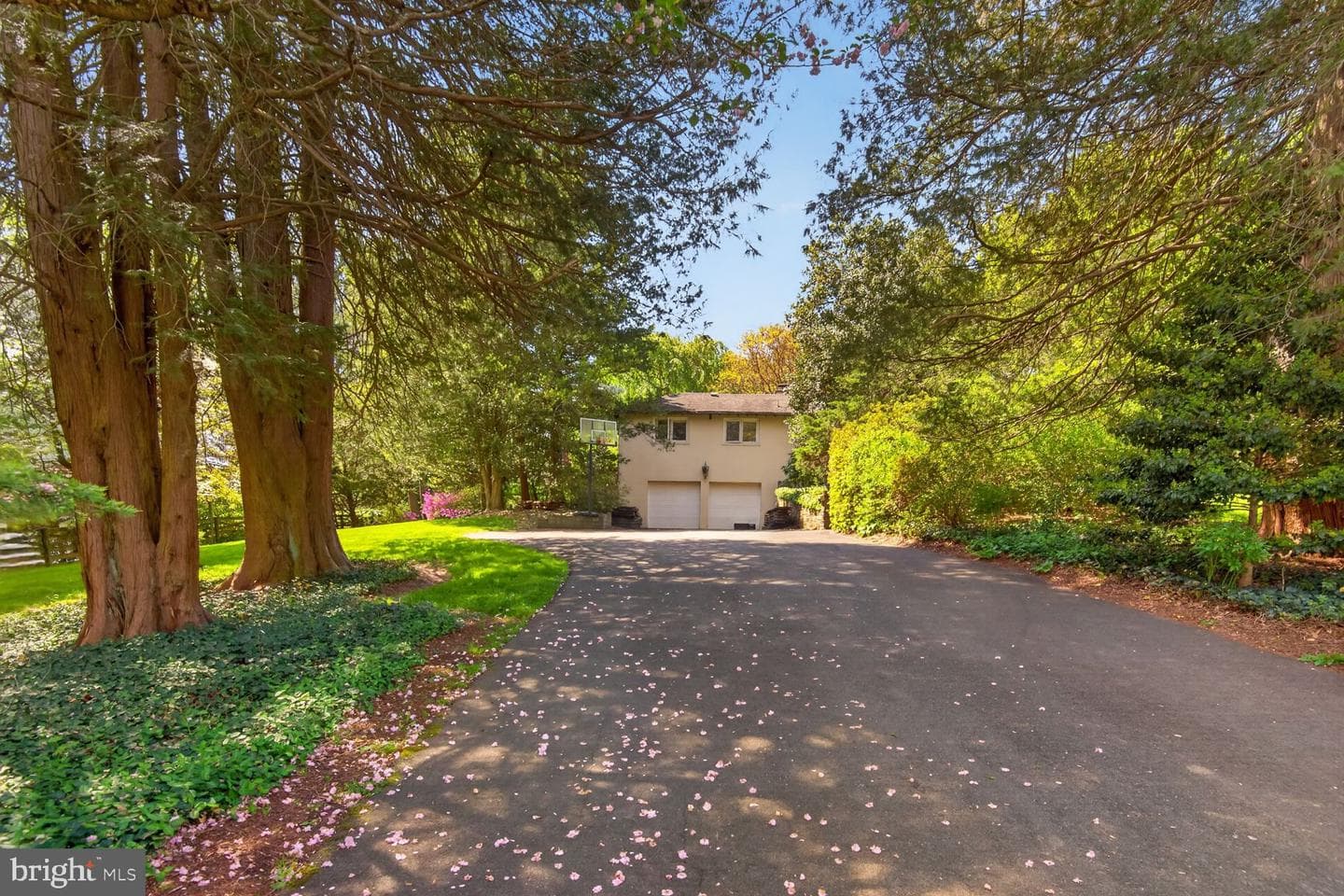 3439 Malbrook Drive photo 7
