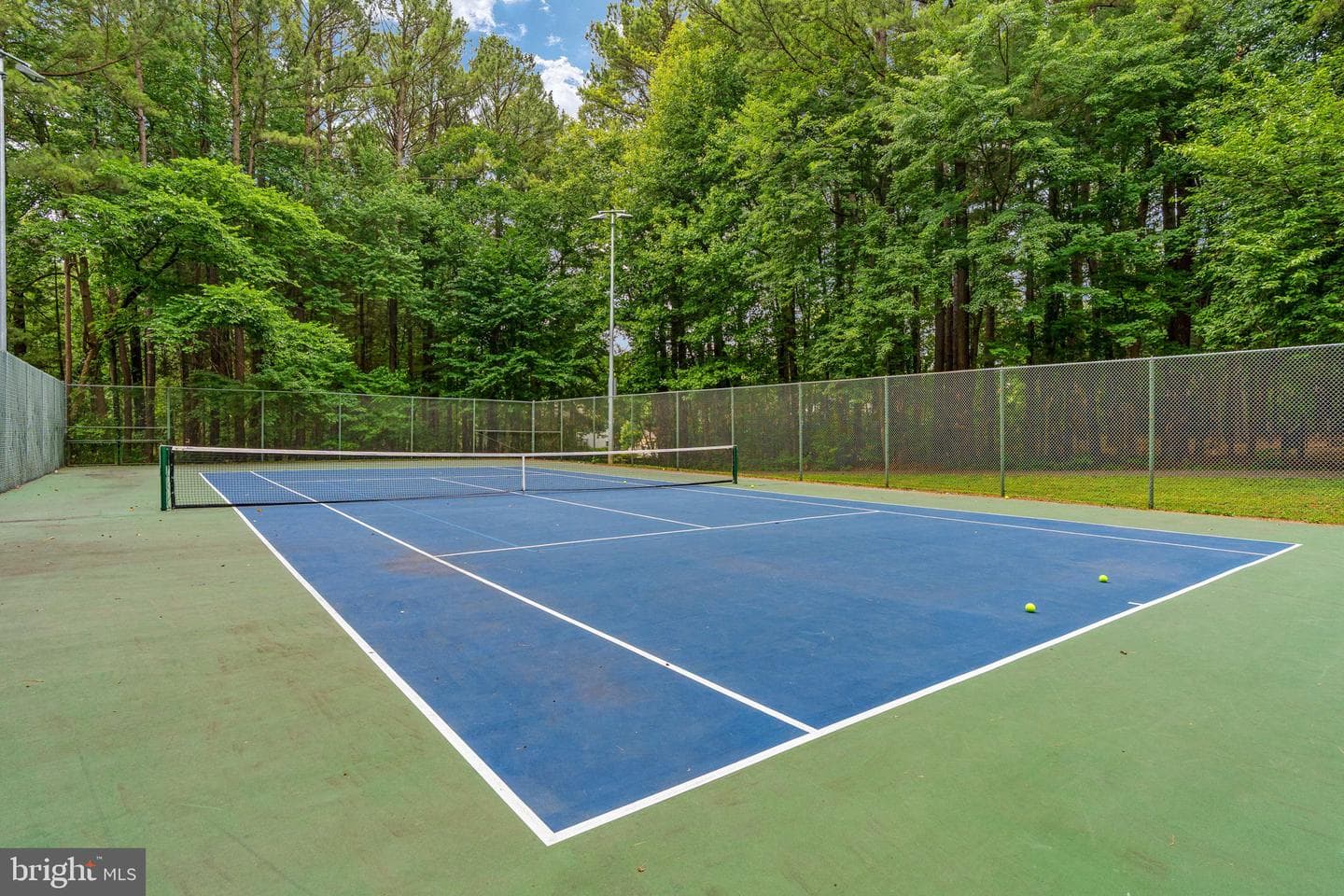 12035 Lake Newport Road photo 69
