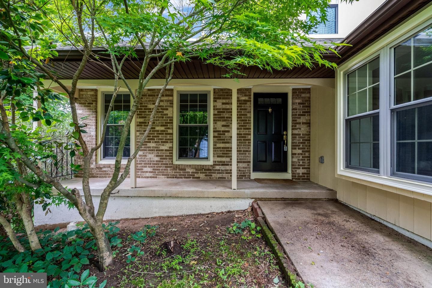 7373 Silver Pine Drive photo 47