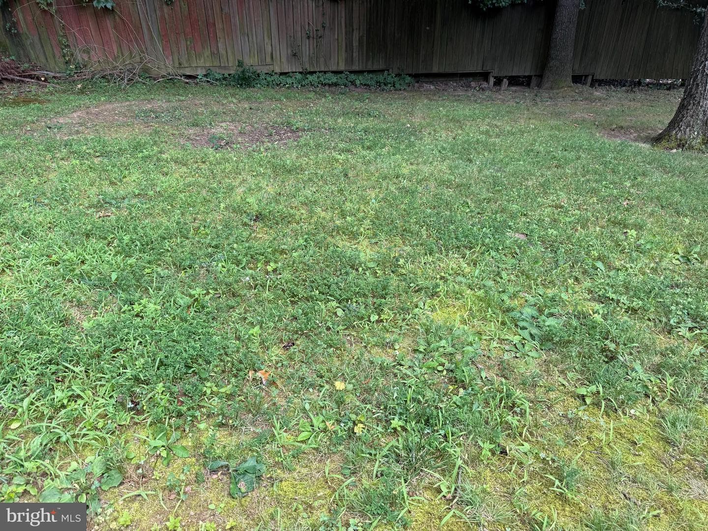 7811 Wendy Ridge Lane photo 21
