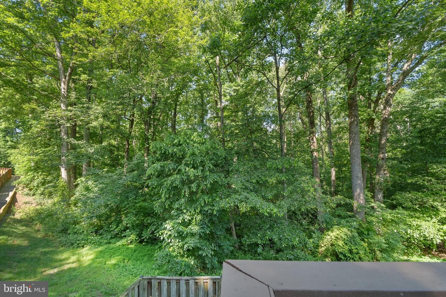 8256 Burning Forest Court photo 30