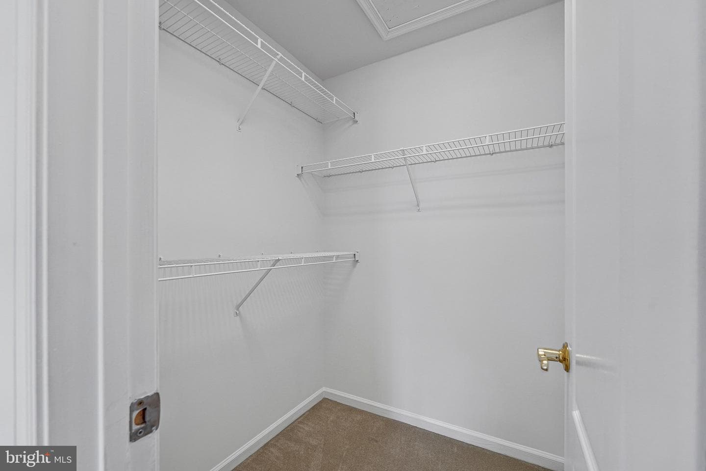 10003 Donal Lane photo 36