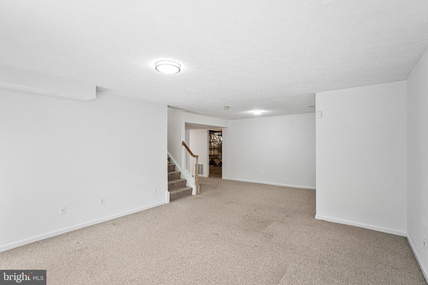 10003 Donal Lane photo 37