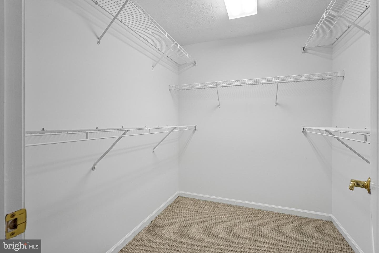 10003 Donal Lane photo 41