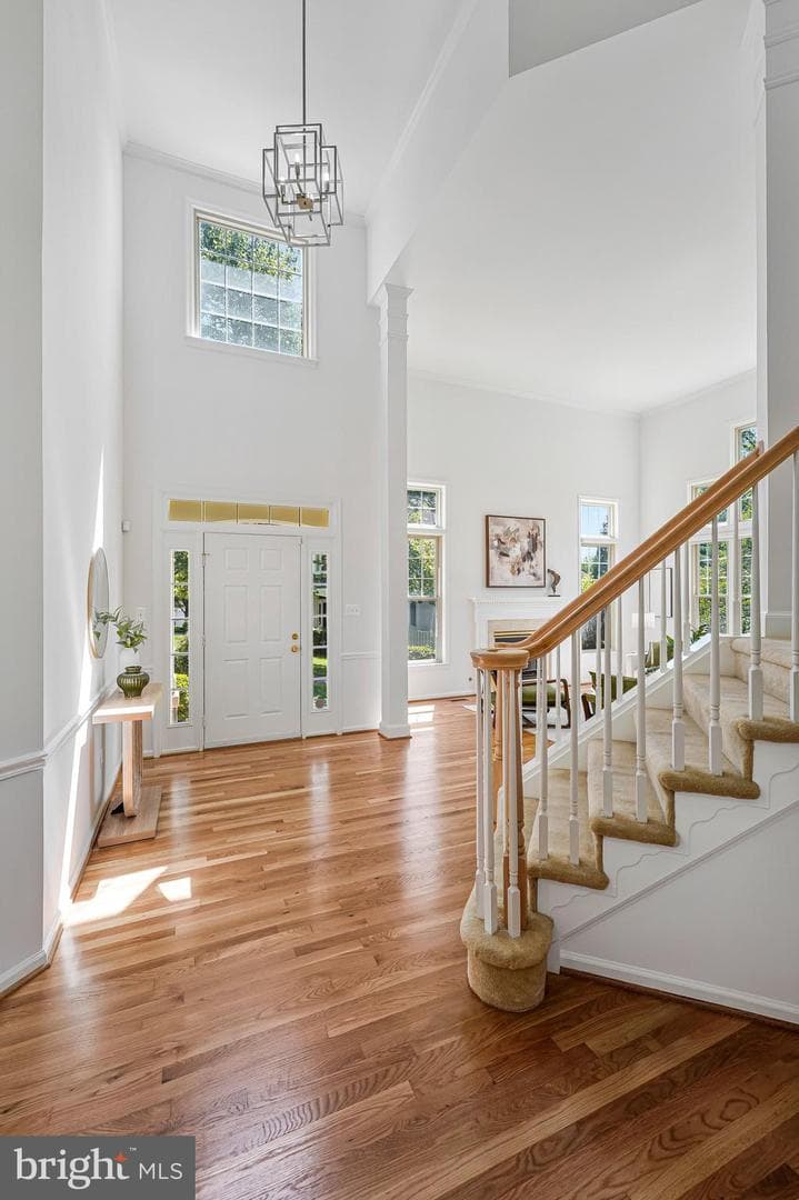 10003 Donal Lane photo 6