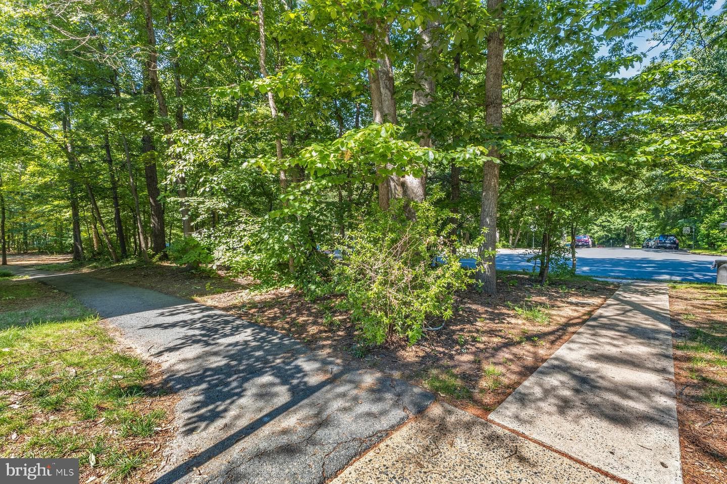 2330 Freetown Court #4/1b photo 21