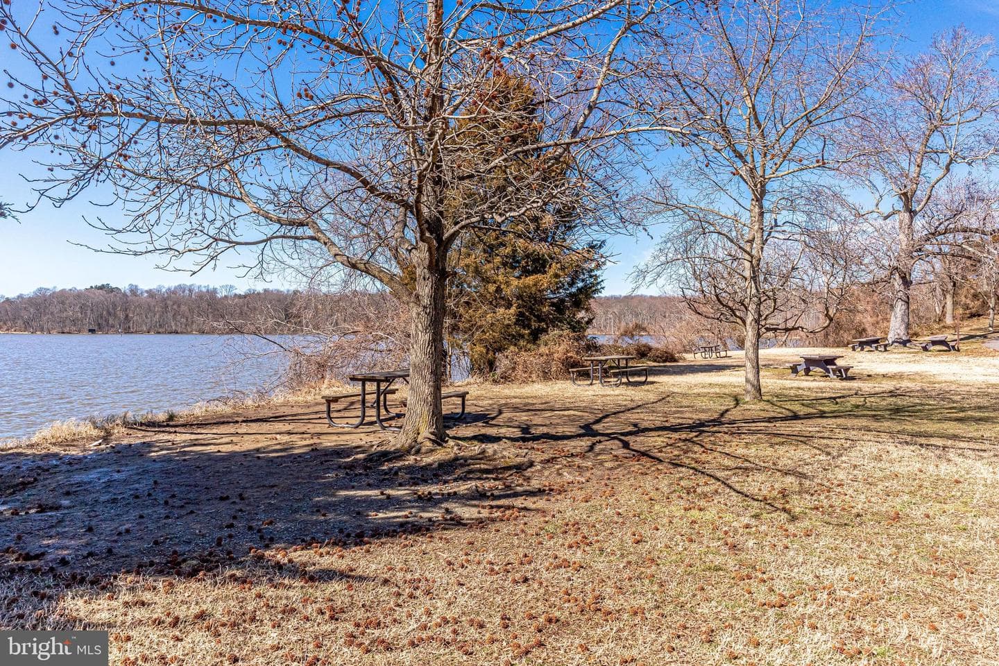 2106 Basset Street photo 49