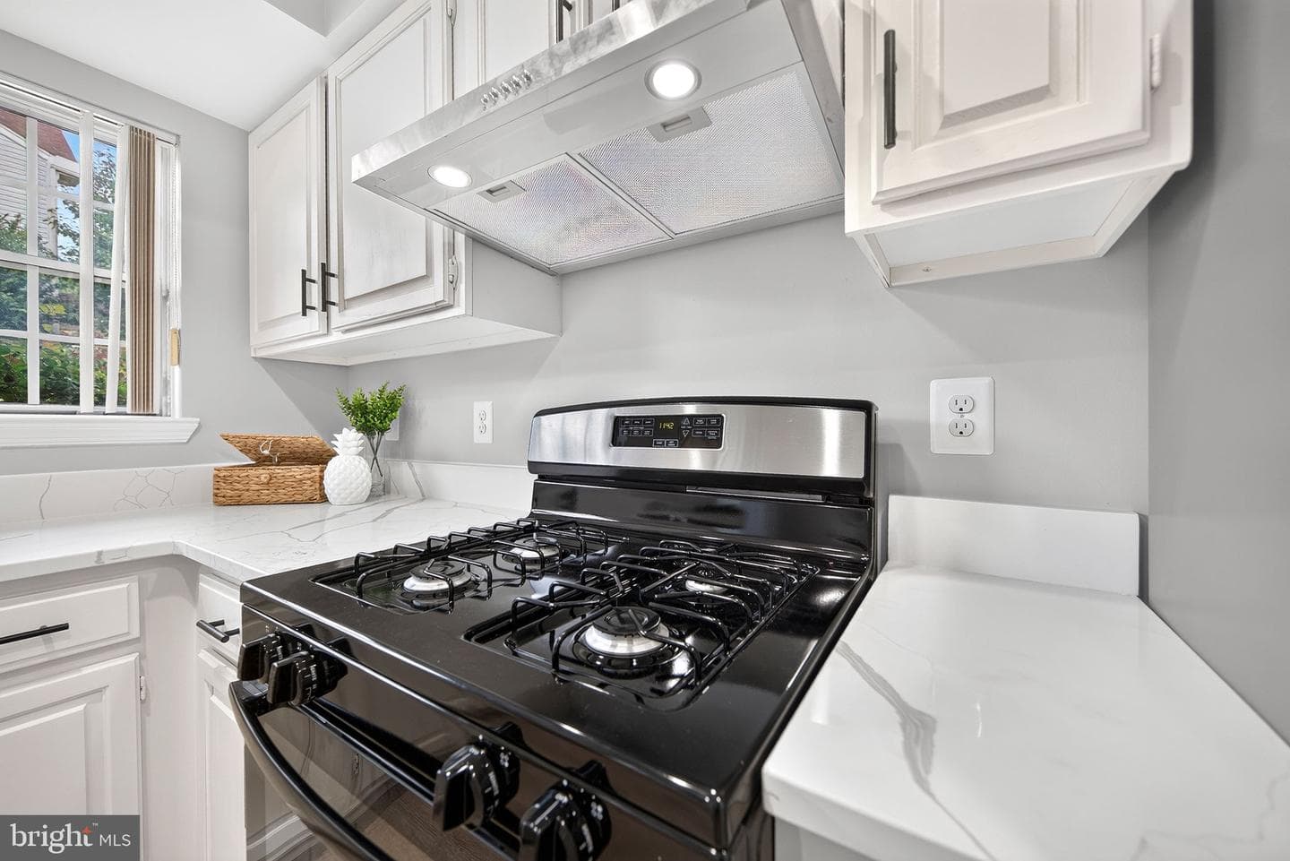 6576 Medinah Lane photo 10