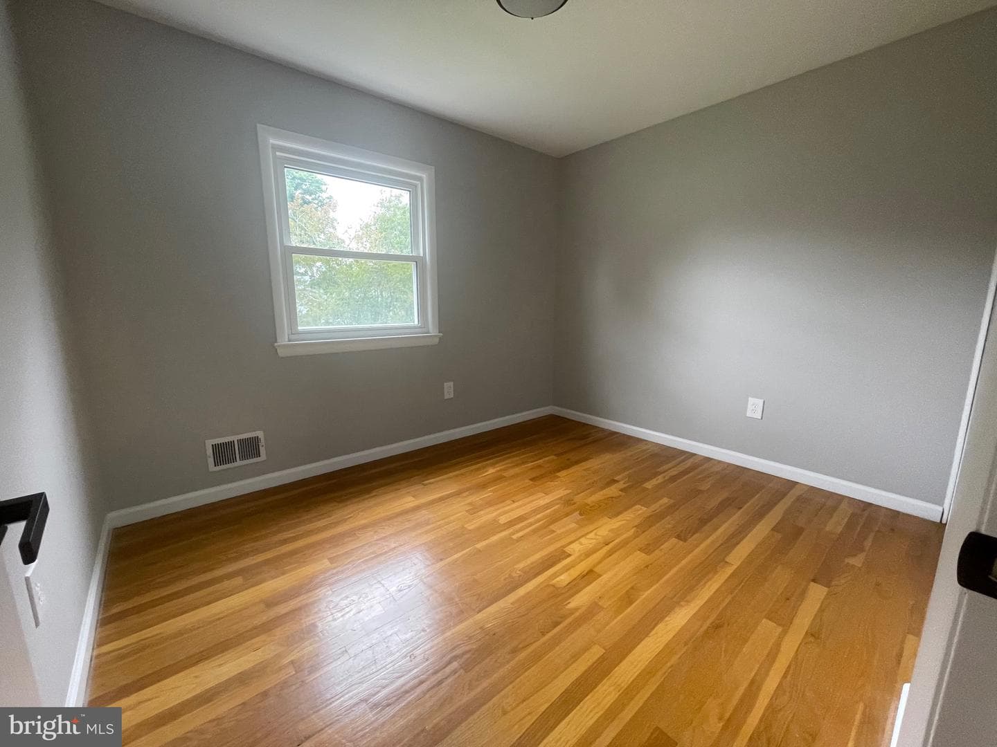 8019 Beckner Court photo 19
