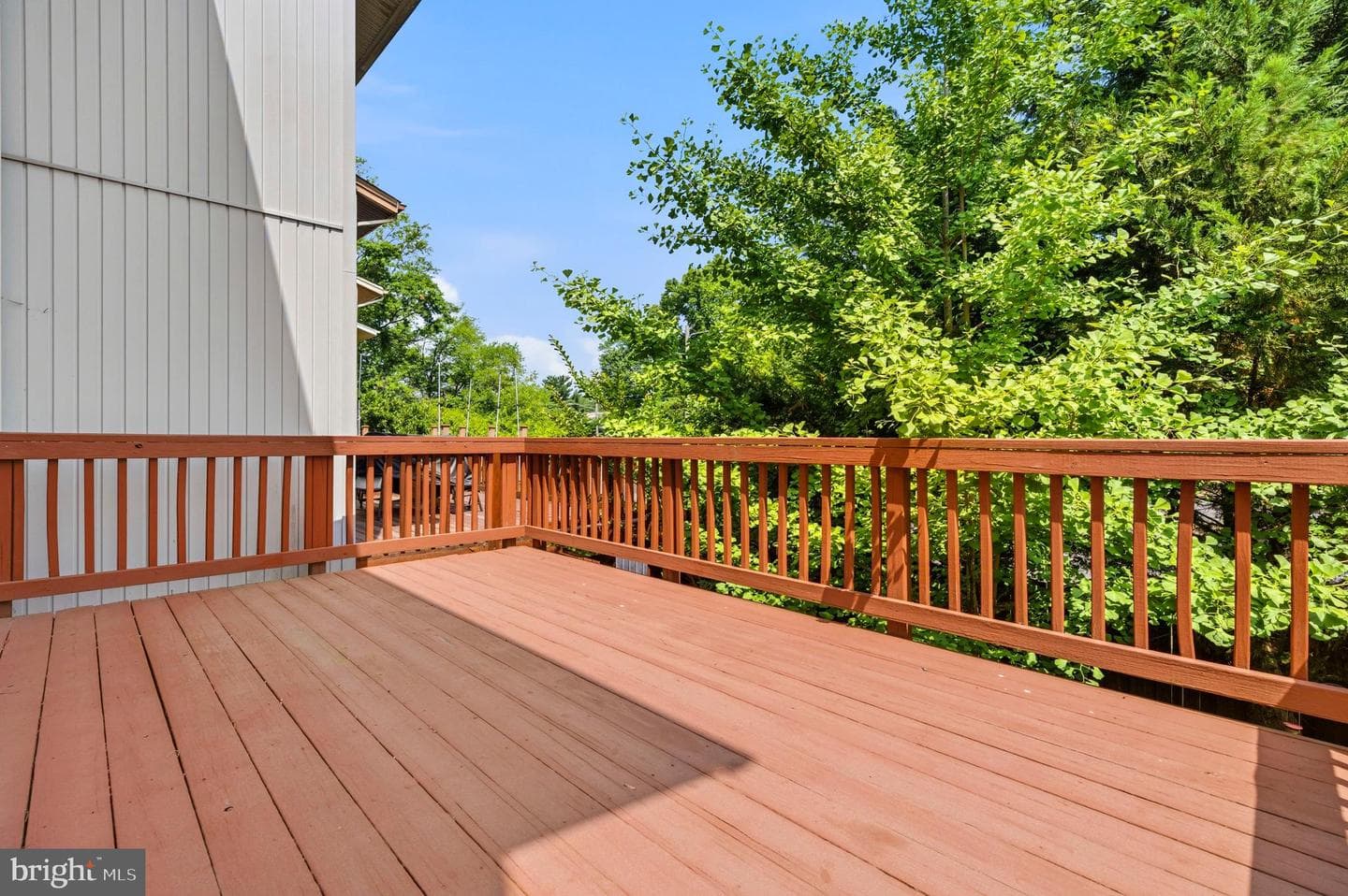 9822 Sweet Mint Drive photo 40