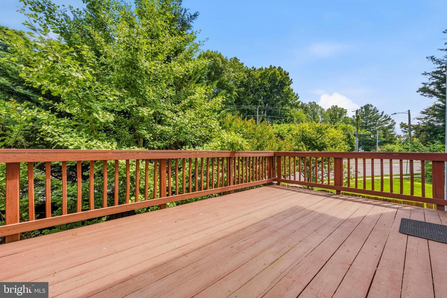 9822 Sweet Mint Drive photo 42