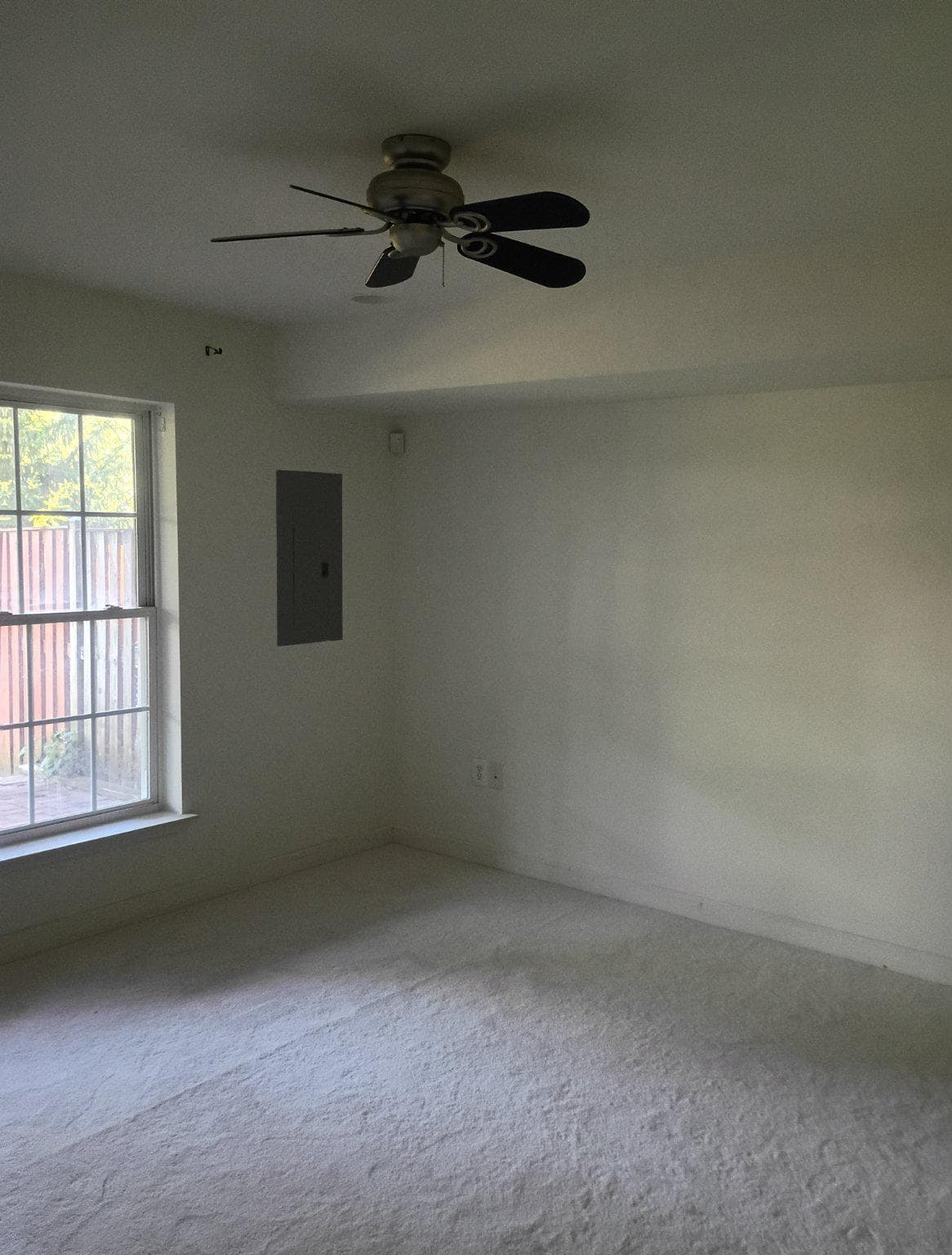 13554 Lavender Mist Lane photo 26