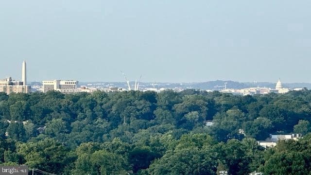 3701 S George Mason Drive #1315n, Falls Church