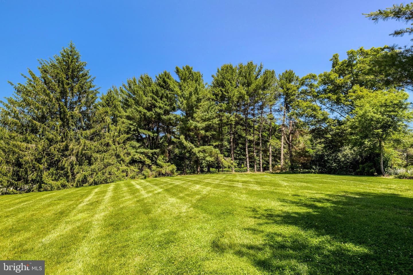 10114 Nedra Drive photo 45