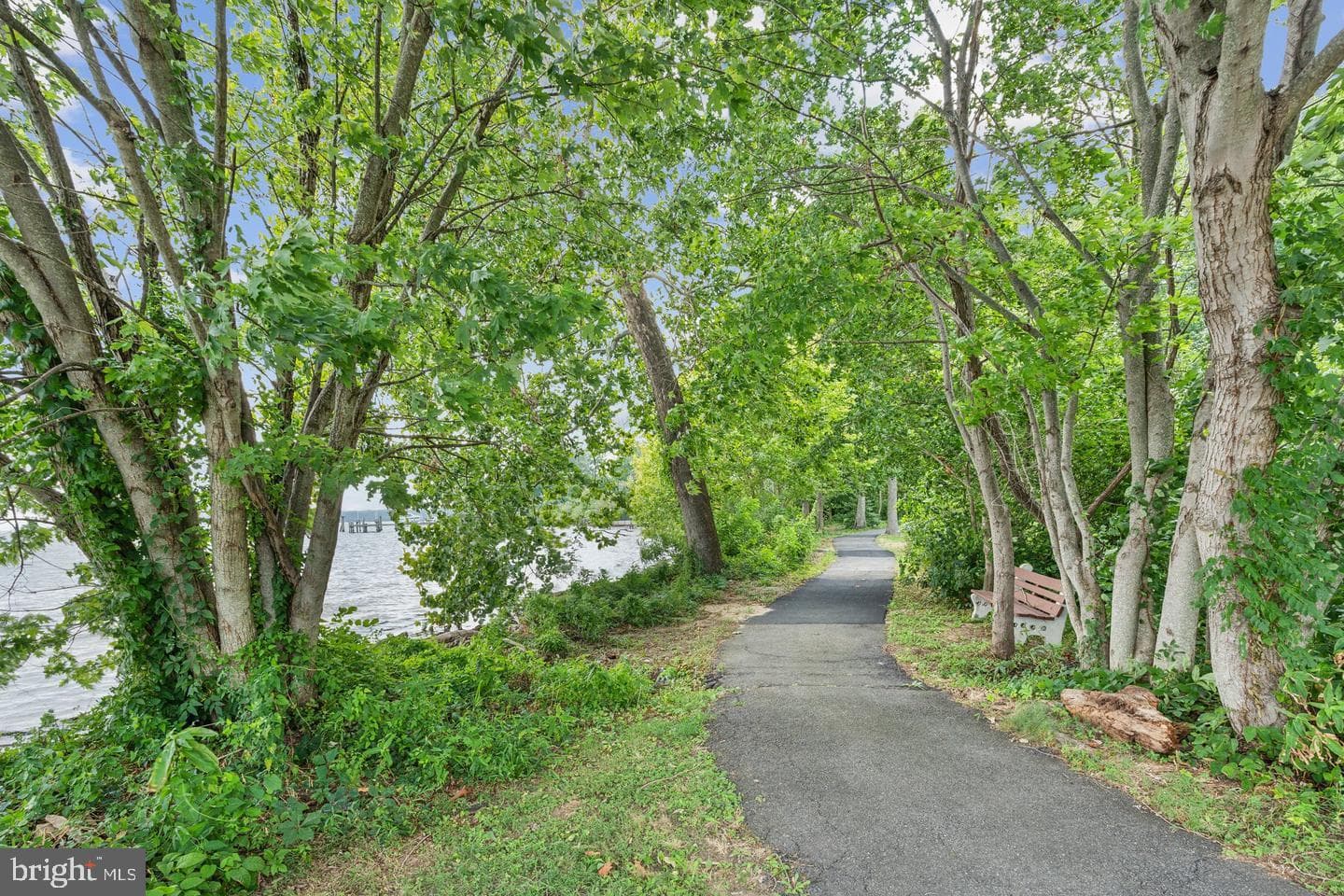 11724 River Drive photo 75